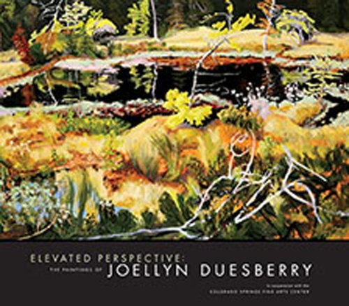 9780983368502: Elevated Perspective: The Paintings of Joellyn Duesberry