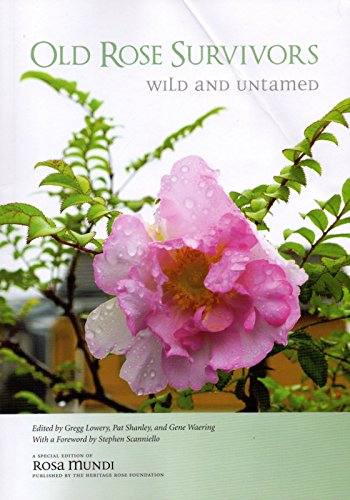 Stock image for Rosa Mundi/Old Rose Survivors (Wild and Untamed) for sale by Patrico Books