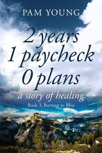 Stock image for 2 years 1 paycheck 0 plans: a story of healing (Burnout to Bliss) for sale by Revaluation Books