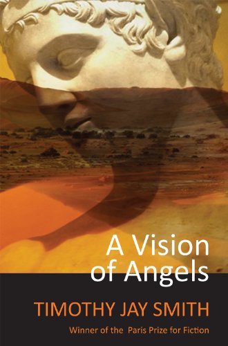 Beispielbild fr A Vision of Angels zum Verkauf von Better World Books: West
