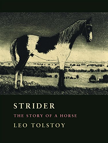 9780983517474: Strider: The Story of a Horse