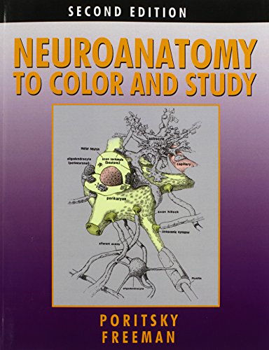 Stock image for Neuroanatomy to Color and Study for sale by Lucky's Textbooks
