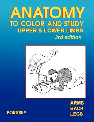 Beispielbild fr Anatomy to Color and Study Upper and Lower Limbs 3rd Edition zum Verkauf von WorldofBooks