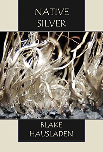 Stock image for Native Silver (Vesteal) for sale by Trip Taylor Bookseller