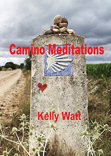 Stock image for Camino Meditations for sale by ThriftBooks-Atlanta
