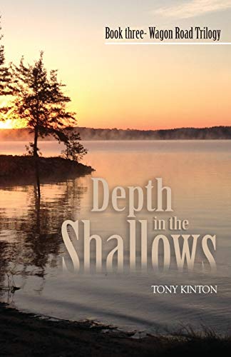 Stock image for Depth in the Shallows for sale by GreatBookPrices