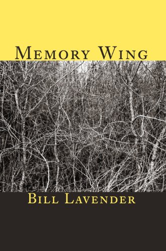 Stock image for Memory Wing (Black Widow Press Modern Poetry) for sale by Michael Lyons