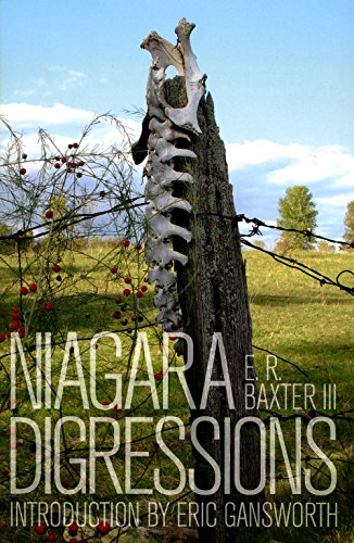 Stock image for Niagara Digressions for sale by ThriftBooks-Dallas