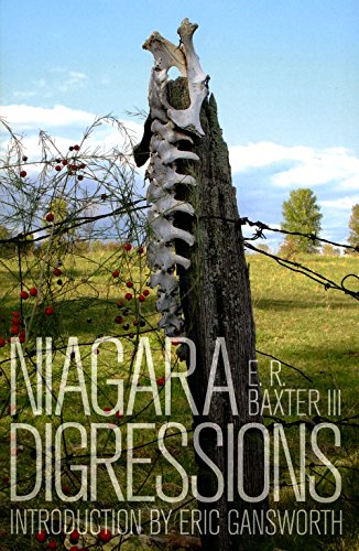 Stock image for Niagara Digressions for sale by SecondSale