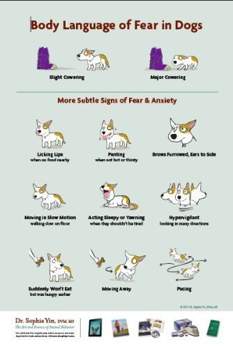 Imagen de archivo de Body Language of Fear and Anxiety in Dogs (Handouts) a la venta por SecondSale