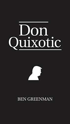 Imagen de archivo de Don Quixotic a la venta por Decluttr