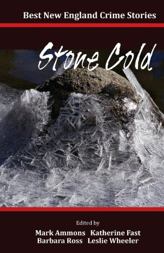 9780983878056: Best New England Crime Stories 2014: Stone Cold