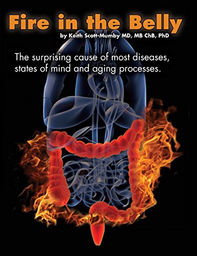 Imagen de archivo de Fire In The Belly: The Surprising Cause of Most Diseases, States Of Mind and Aging Processes a la venta por ZBK Books
