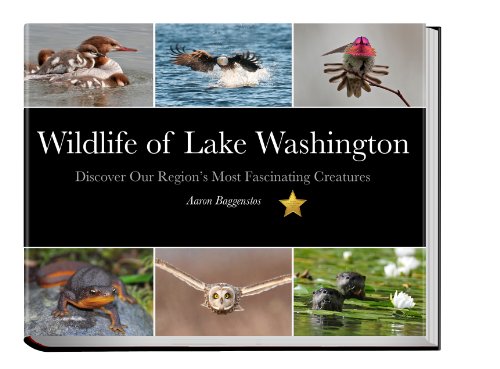 Imagen de archivo de Wildlife of Lake Washington (Discover Our Region's Most Fascinating Creatures) a la venta por SecondSale