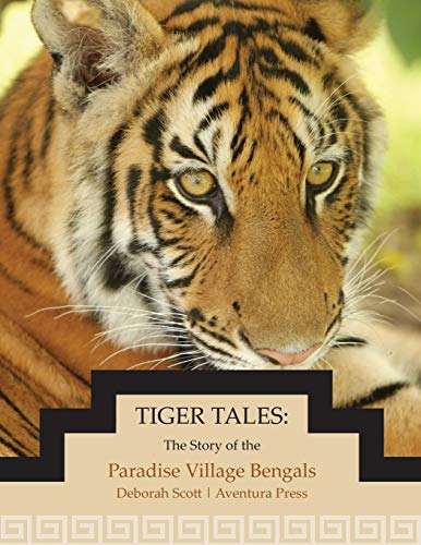 9780983917908: Tiger Tales: The Story of the Paradise Village Bengals