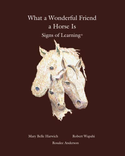 Stock image for What a Wonderful Friend a Horse Is for sale by Lucky's Textbooks