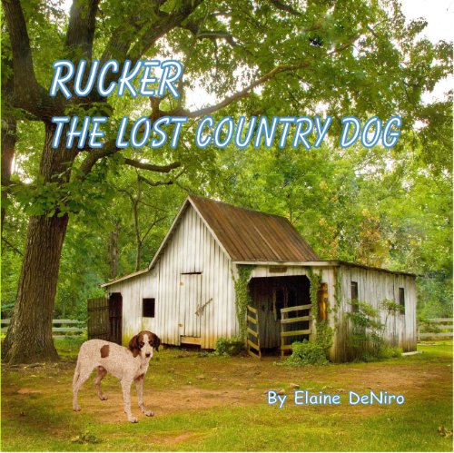 Stock image for Rucker, The Lost Country Dog for sale by SecondSale