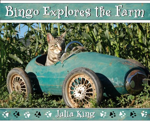 Bingo Explores the Farm (9780983982708) by Julia King