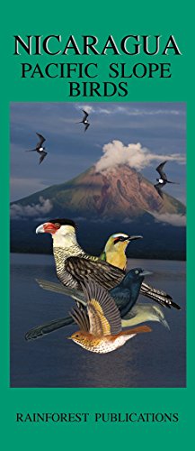 Stock image for Nicaragua Pacific Slope Birds Guide (Laminated Foldout Pocket Field Guide) (English and Spanish Edition) for sale by SecondSale