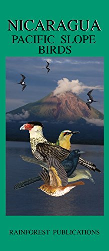 9780984010707: Nicaragua Pacific Slope Birds Guide (Laminated Foldout Pocket Field Guide) (English and Spanish Edition)