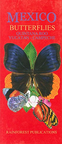 Beispielbild fr Mexico Caribbean Regions Butterflies Guide (Laminated Foldout Pocket Field Guide) zum Verkauf von Books Unplugged