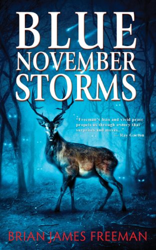 Imagen de archivo de Blue November Storms a la venta por SecondSale