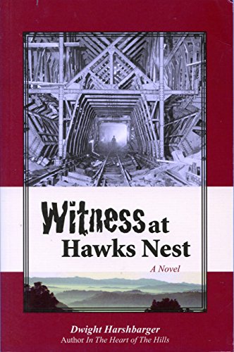 9780984075720: Witness at Hawks Nest