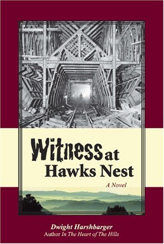 Stock image for Witness at Hawks Nest for sale by Wonder Book