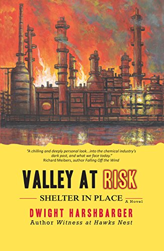 Stock image for Valley at Risk for sale by Better World Books