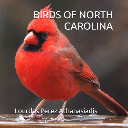 Stock image for BIRDS OF NORTH CAROLINA for sale by GF Books, Inc.