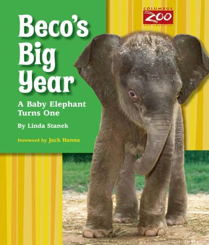 Stock image for Beco's Big Year: A Baby Elephant Turns One for sale by Wonder Book