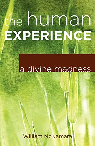 Beispielbild fr The Human Experience A Divine Madness zum Verkauf von PBShop.store US