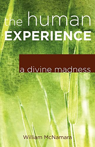 Stock image for The Human Experience: A Divine Madness for sale by ThriftBooks-Atlanta
