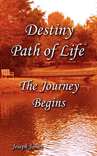 9780984242207: Destiny Path of Life - The Journey Begins