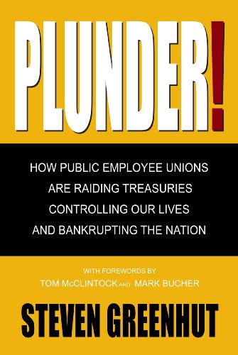 Stock image for Plunder: How Public Employee Unions are Raiding Treasuries, Controlling Our Lives and Bankrupting the Nation for sale by SecondSale