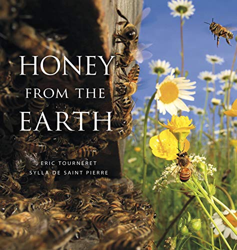 Stock image for Honey From the Earth: Beekeeping and Honey Hunting on Six Continents for sale by Byrd Books