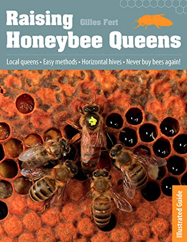Stock image for Raising Honeybee Queens: An Illustrated Guide to Success for sale by GoodwillNI