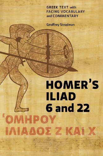 Imagen de archivo de Homers Iliad 6 and 22: Greek Text with Facing Vocabulary and Commentary a la venta por KuleliBooks