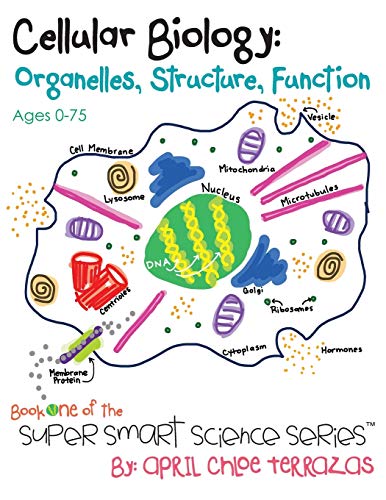 Stock image for Cellular Biology: Organelles, Structure, Function (Super Smart Science Series) for sale by HPB-Diamond