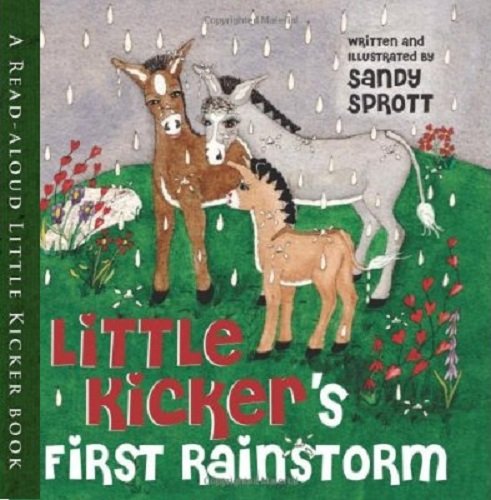 Stock image for Little Kicker's First Rain Storm for sale by ThriftBooks-Atlanta