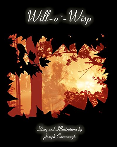 Stock image for Will-o'-Wisp for sale by THE SAINT BOOKSTORE