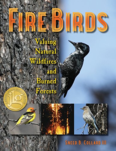 Stock image for Fire Birds: Valuing Natural Wildfires and Burned Forests for sale by Goodwill of Colorado