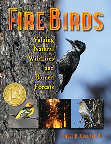 Fire Birds: Valuing Natural Wildfires and Burned Forests