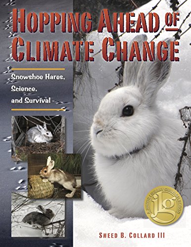 Stock image for Hopping Ahead of Climate Change : Snowshoe Hares, Science, and Survival for sale by Better World Books