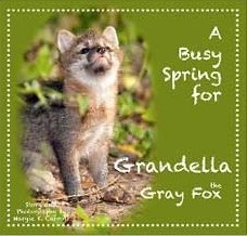 Imagen de archivo de A Busy Spring for Grandella the Gray Fox a la venta por ThriftBooks-Atlanta