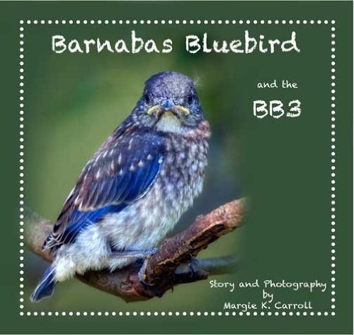 Imagen de archivo de Barnabas Bluebird and the BB3 a la venta por HPB-Diamond