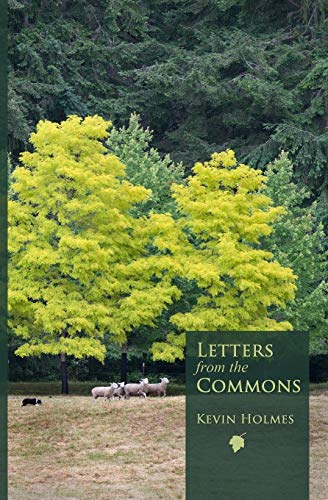 9780984496945: Letters from the Commons