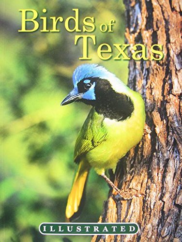 Beispielbild fr The Illustrated Birds of Texas zum Verkauf von HPB-Red