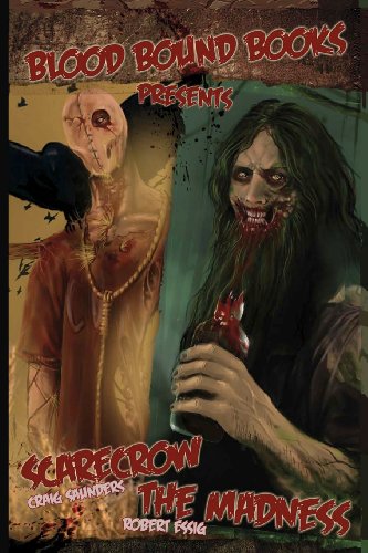 Beispielbild fr Scarecrow & the Madness zum Verkauf von AwesomeBooks