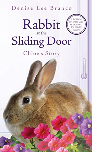 Beispielbild fr Rabbit at the Sliding Door: Chloe's Story zum Verkauf von HPB Inc.